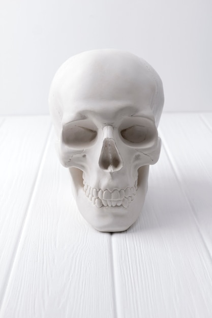 Gips menselijke schedel aan witte houten tafel.