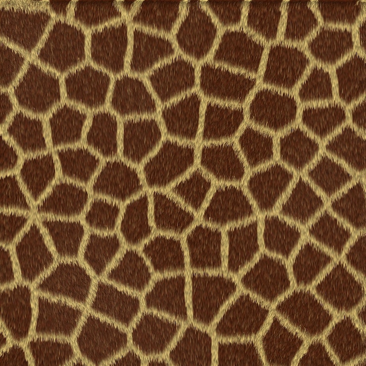 Photo giraffe print texture