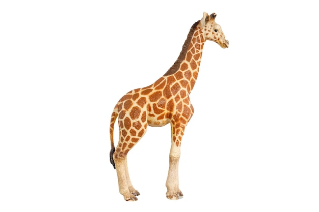 Giraffe toy figurine isolated on white background