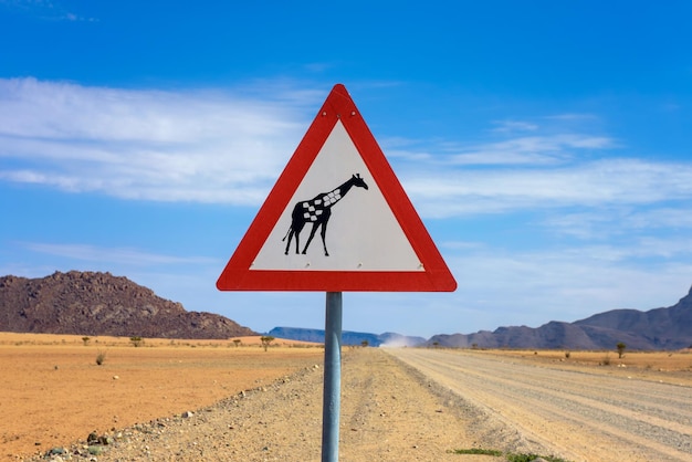 Giraffen die waarschuwingsverkeersteken oversteken geplaatst in de woestijn van namibië