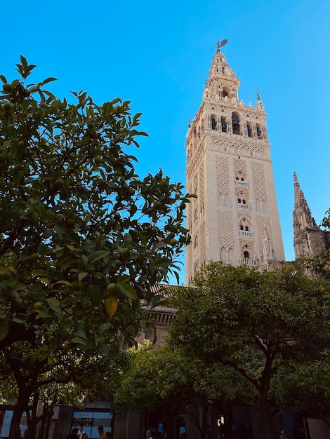 Photo the giralda is the bell tower of seville cathedral in seville spain