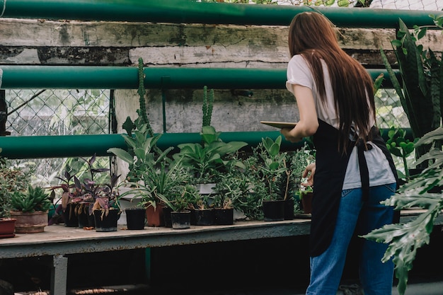 Foto la ragazza agronomo è impegnata nel giardino botanico.