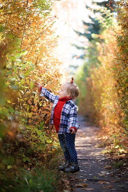 Girl in the autumn forest collects leaves