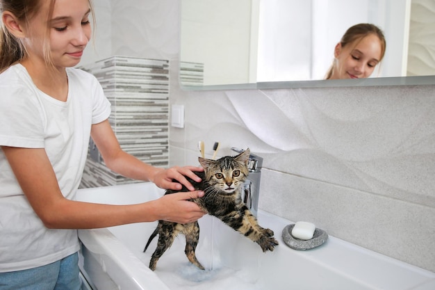 A girl bathes a cat in the sink