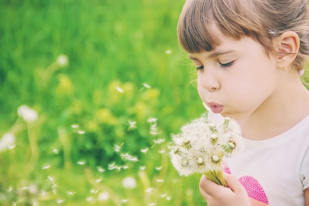 写真 空気中のタンポポを吹く少女。セレクティブフォーカス