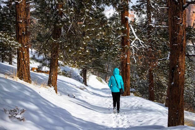 겨울에 브라이스 캐년 국립 공원의 눈 덮인 나무 사이에서 하이킹하는 파란색 재킷을 입은 소녀