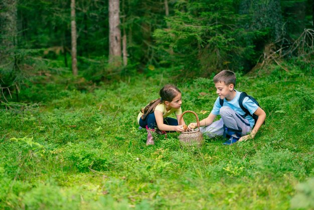 Girl and a boy in boots are sitting and putting mushrooms they found in the forest into a basket