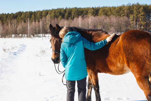 Girl brushing a horse with dust and stubble on a sunny day