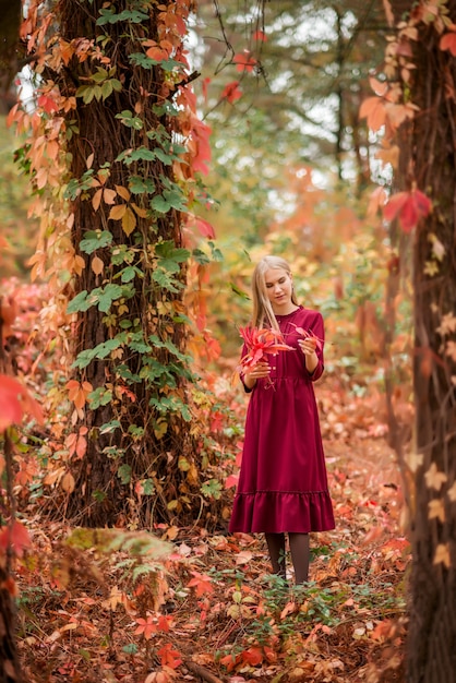 Girl in a burgundy dress walks in the autumn forest. Beautiful forest with tall colorful trees..