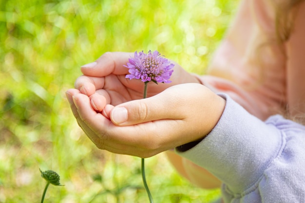 The girl carefully holds a wild flower in her hands