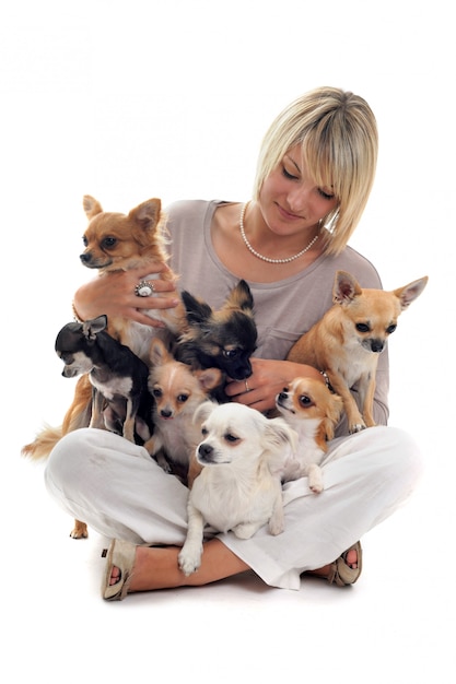 Girl and chihuahuas