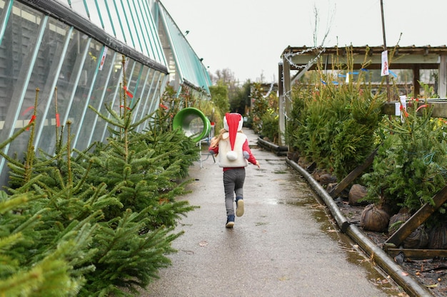 Una ragazza sceglie un albero di natale in vendita in un negozio