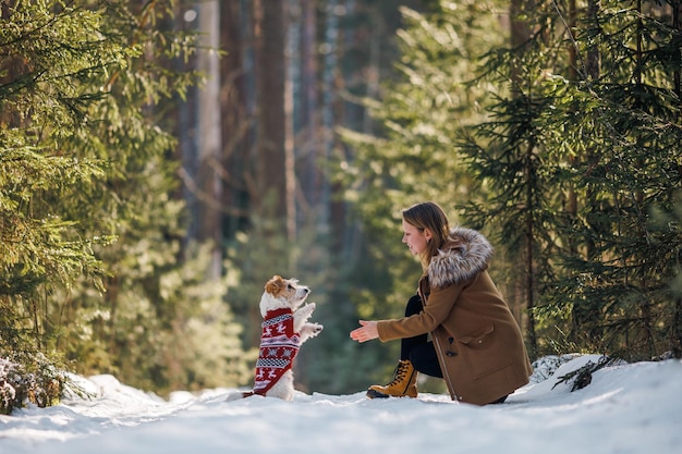 Девушка в пальто и собака породы джек-рассел-терьер в новогоднем вязаном свитере в зимнем еловом лесу на снегу Рождественская концепция
