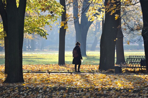 소녀는 Mikhailovsky 정원에서 나뭇잎을 수집