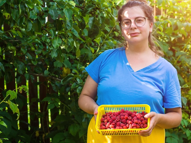 The girl collects raspberries picking berries in the garden eco friendly healthy food natural berries