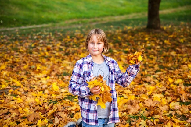Girl collects yellow autumn leaves on a field in the park