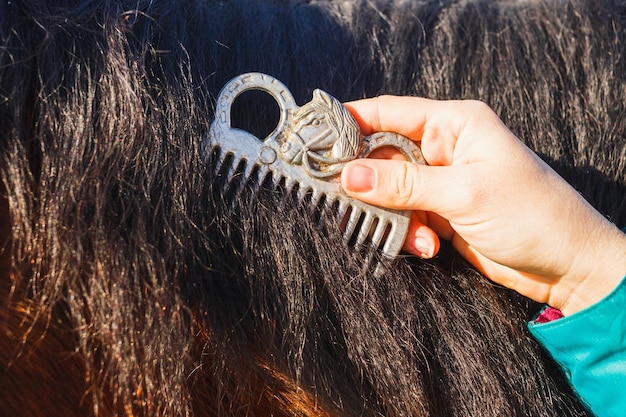 Girl combing black horse mane with a comb