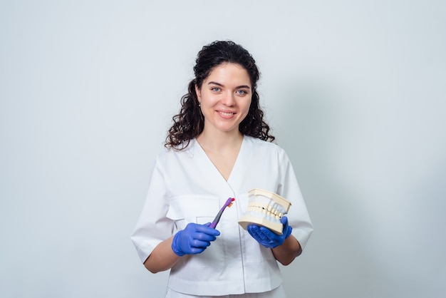 Foto il dentista della ragazza tiene un modello volumetrico dei denti e uno spazzolino da denti