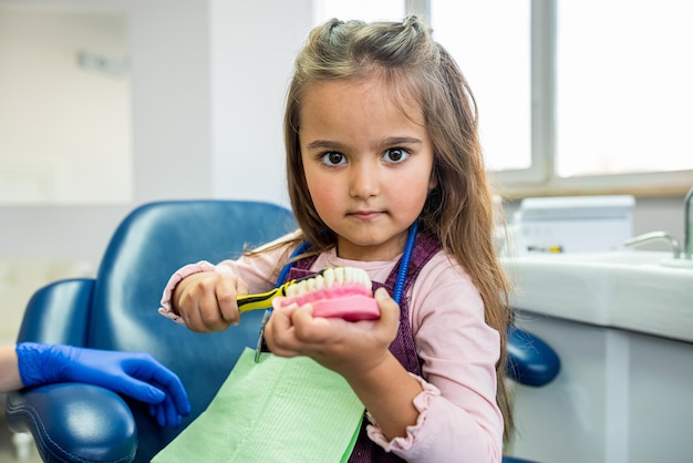 girl in the dentist's office learns to take care of her own teeth on a mock-up of jaw teeth. Teeth jaw mockup concept