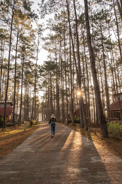 The girl did not see her face walking in the pine forest