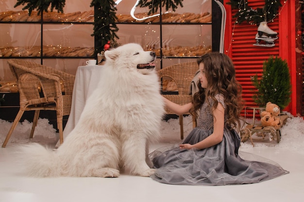 A girl in a dress with a Samoyed dog. New year concept