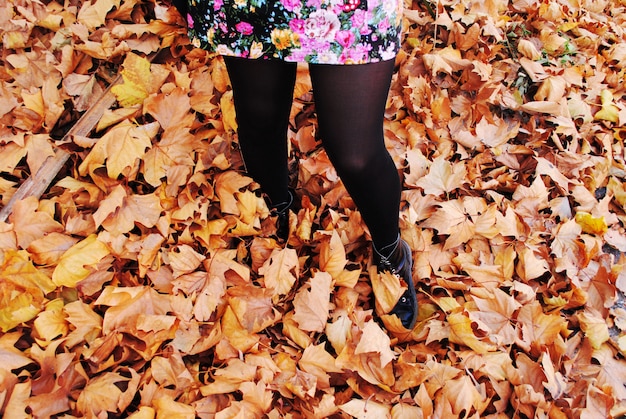 Photo girl enjoying fall leaves