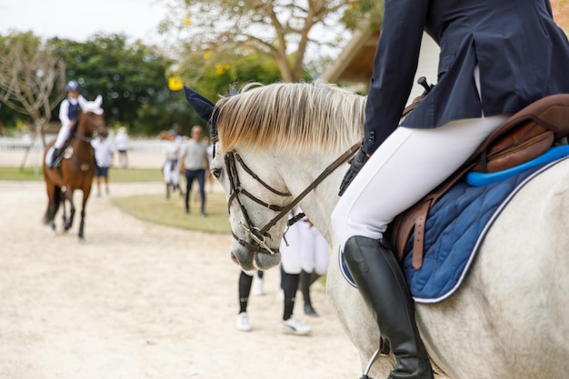 Foto la ragazza che l'equestre salta a cavallo