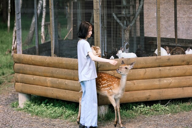 動物園で可愛い斑点の鹿バンビを飼育する女の子人と遊ぶ赤ちゃんの鹿