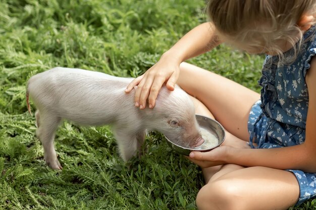 子豚に餌をやる少女 動物への愛の概念