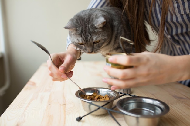 Girl feeds the cat