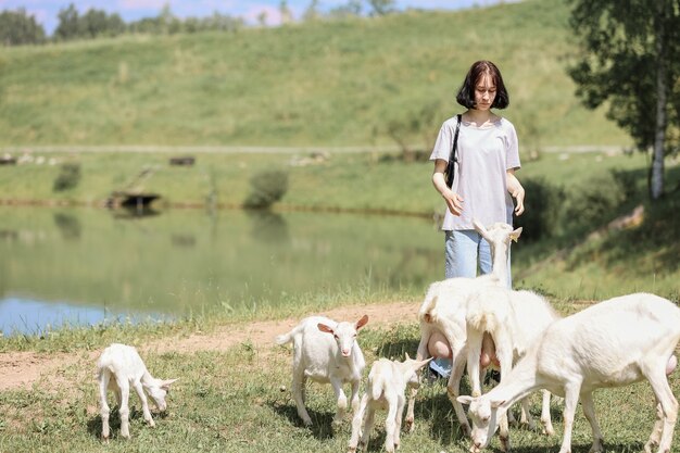 Girl feeds and plays with goats on a farm