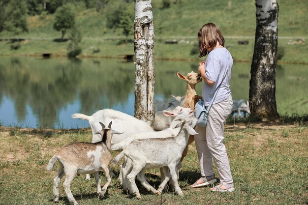 Girl feeds and plays with goats on a farm