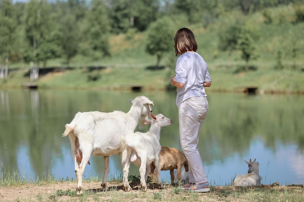 Girl feeds and plays with goats on a farm