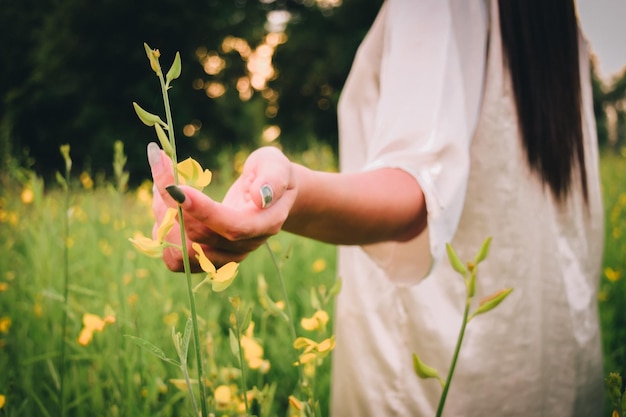 Photo a girl in the flower field