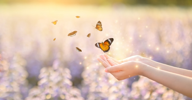 The girl frees the butterfly from the jar, golden blue moment concept of freedom