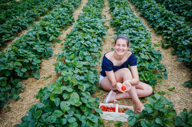 girl gathering strawberries in a field