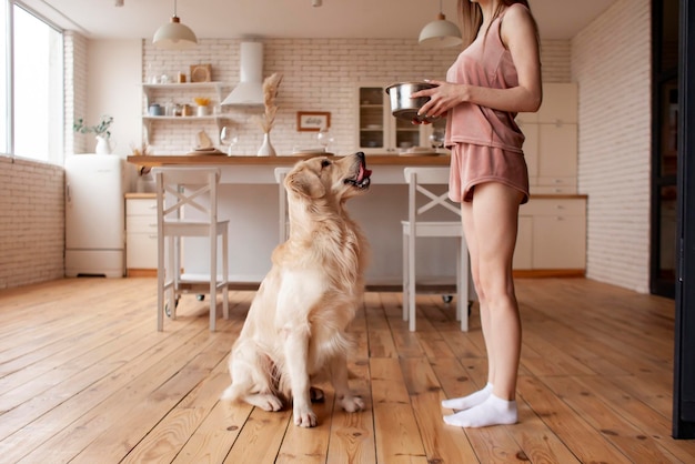 Girl gives food to dog in bowl at home woman feeds golden retriever hungry dog looks at bowl of food