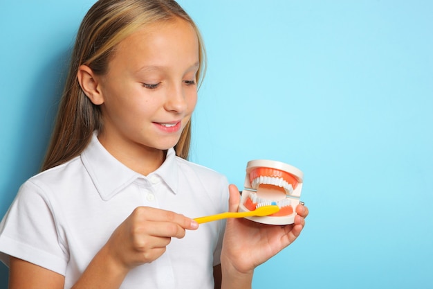 A girl in a good mood brushes her teeth and holds a model of teeth