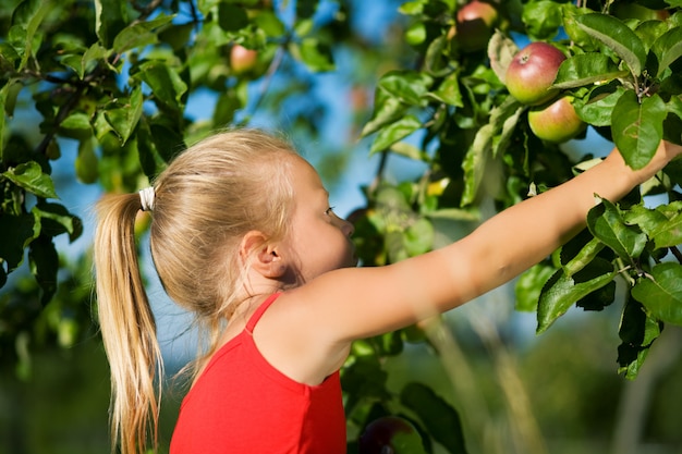 Girl grabbing an apple