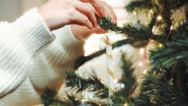 女の子はクリスマスの飾りを木にぶら下げます