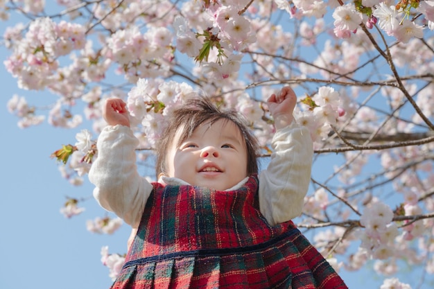 桜の花を幸せに眺める少女