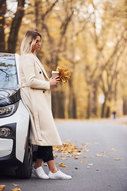 女の子は車で秋の旅行をしています。森の中の現代の真新しい自動車。