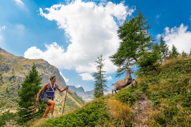 Girl hiker meets ibex in the mountains