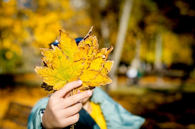 Girl hold nice bright maple leaves