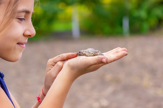 Girl hold a toad in the palm of her hand Selective focus