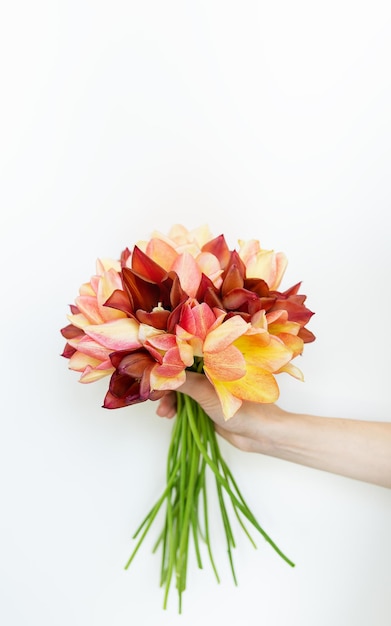 Ragazza con un bouquet di tulipani rossi gialli freschi su sfondo bianco con spazio per la copia posto per un'iscrizione