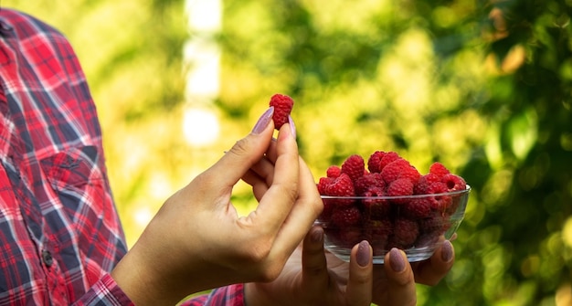 Girl holding a bowl with organic product of ripe raspberries on the farm. Selective focus