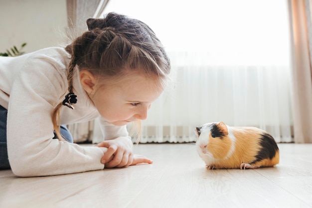 Girl holding a guinea pig in her arms on a black background a lot of joy and fun