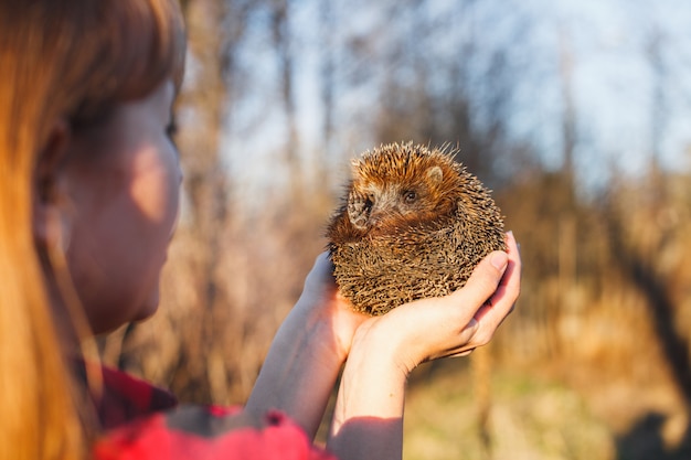 Girl holding a hedgehog on outstretched arms