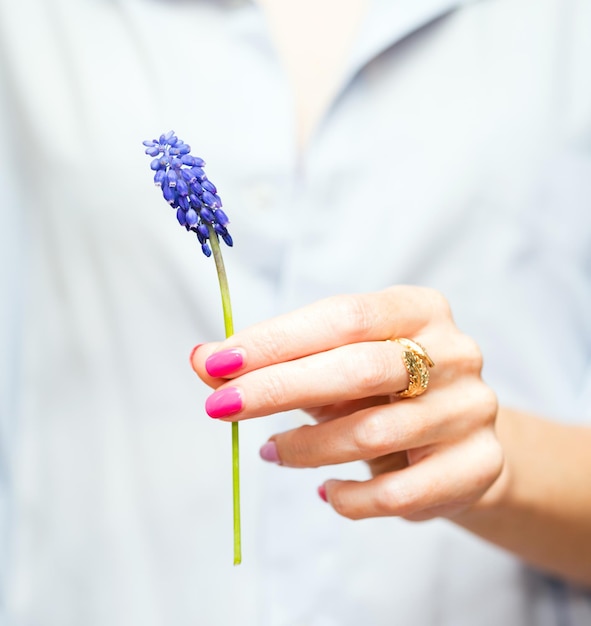 Girl holding a hyacinth, close-up